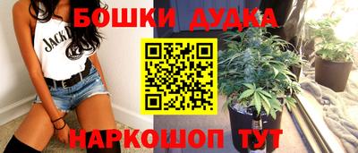 гидра Волгодонск