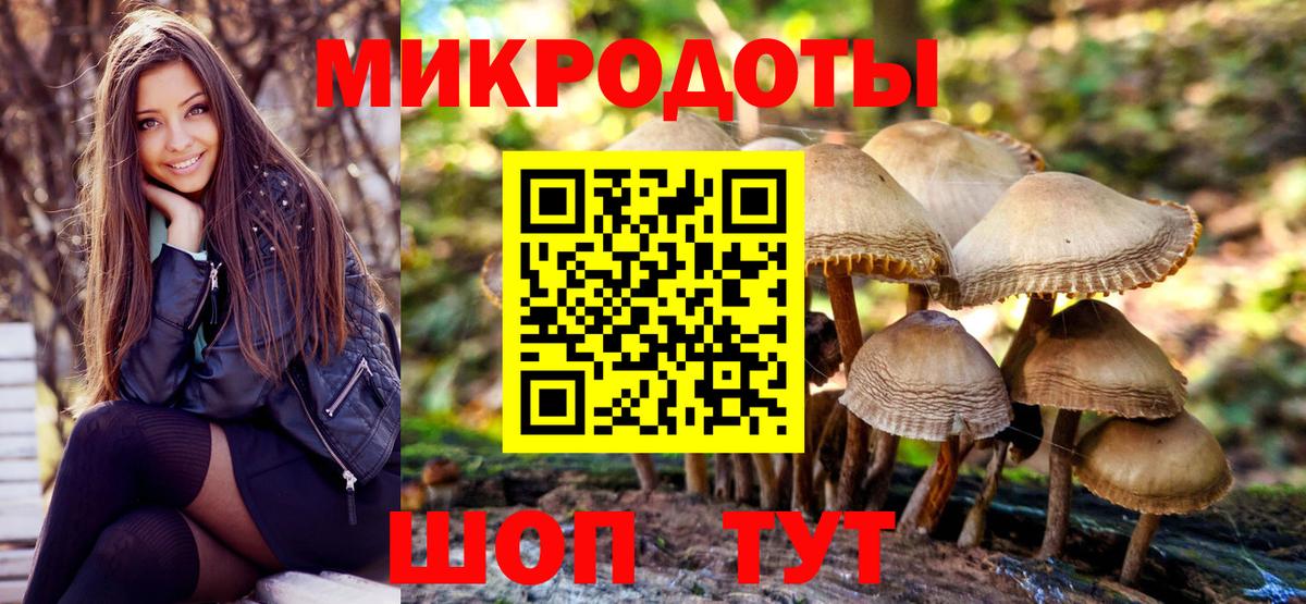 Елабуга  Галлюциногенные грибы ЛСД  Вход с VPN 