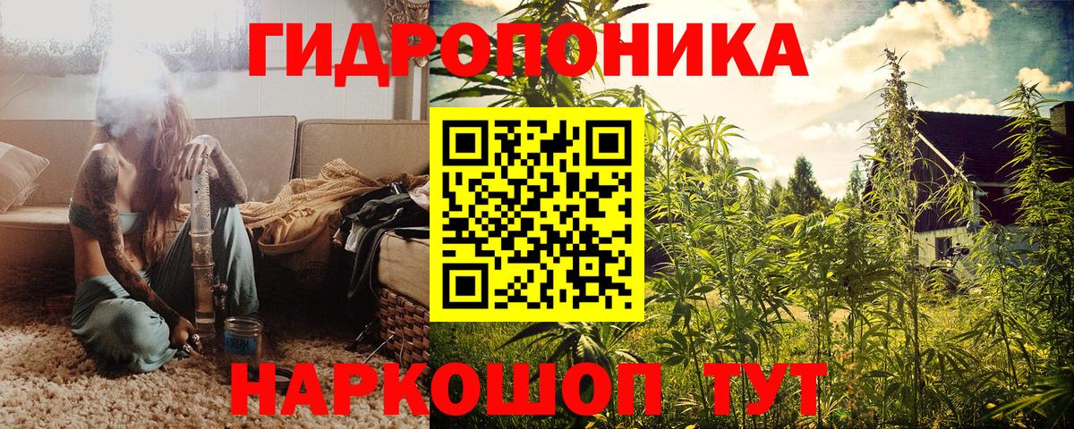 Каннабис индика Елабуга